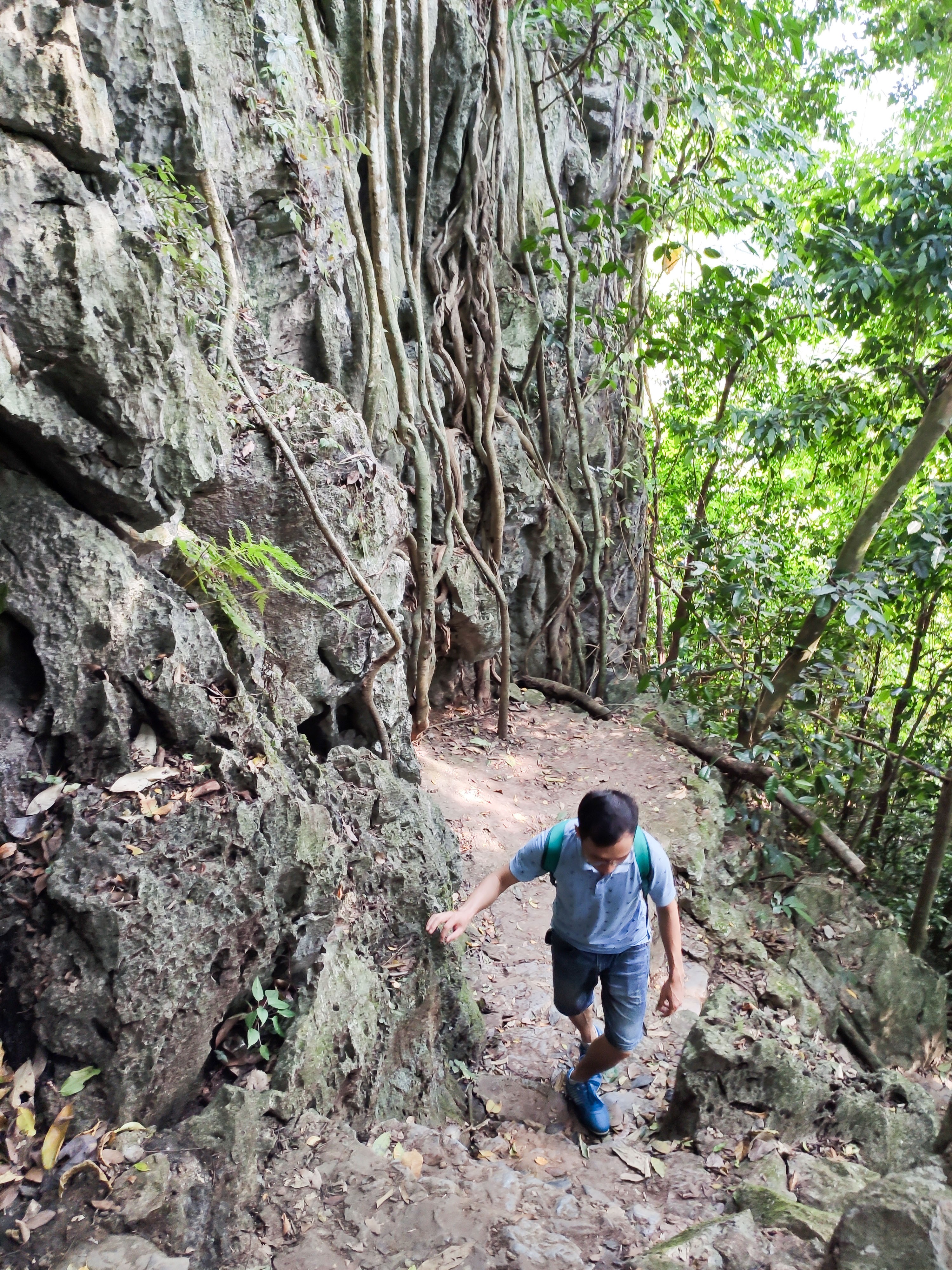 hang mua cuc phuong 8