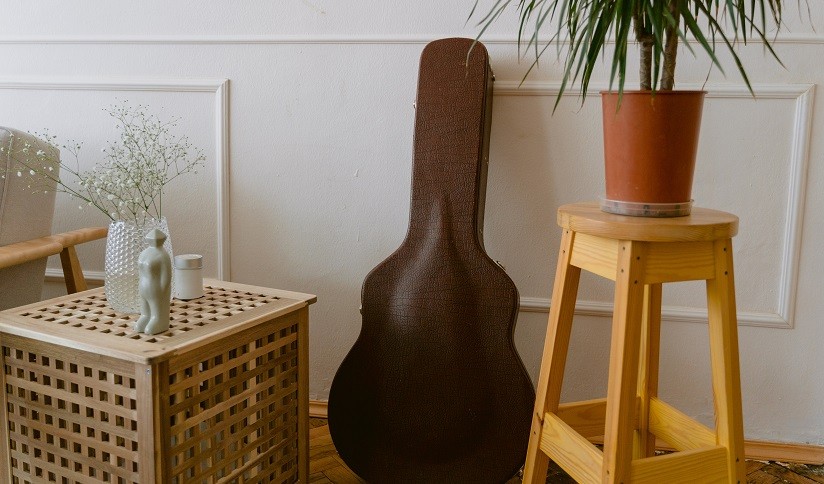 guitar hardcase interior with red plush