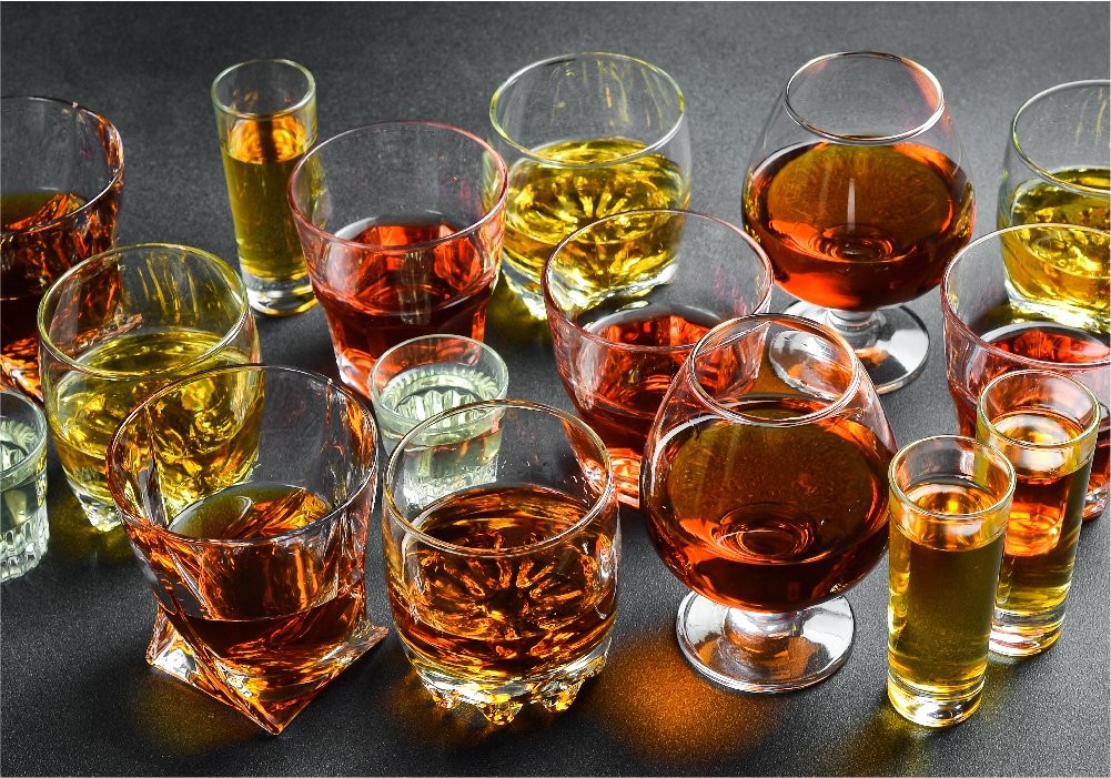 Alcohol Tourism India