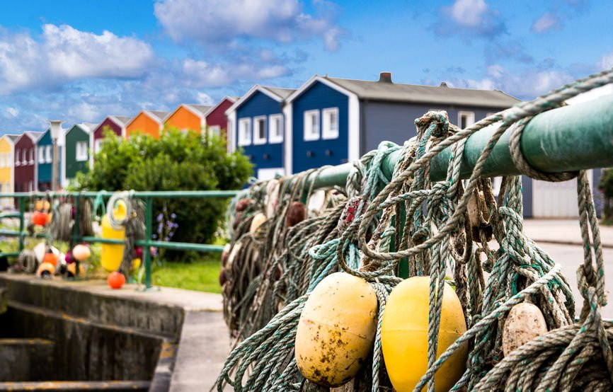Heligoland Knieper Crab