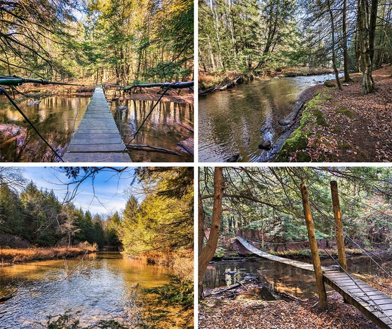 Hiking to the Clear Shade Creek swinging bridge in the Gallitzin State Forest.