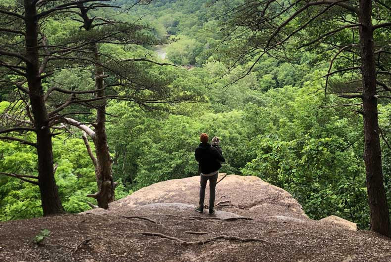Scenic hiking trail in Ross County, showcasing the lush greenery and outdoor recreational opportunities