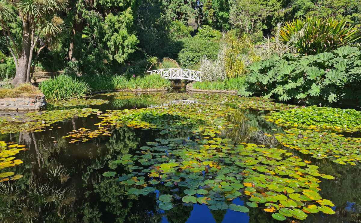 Hobart Royal Botanic Gardens
