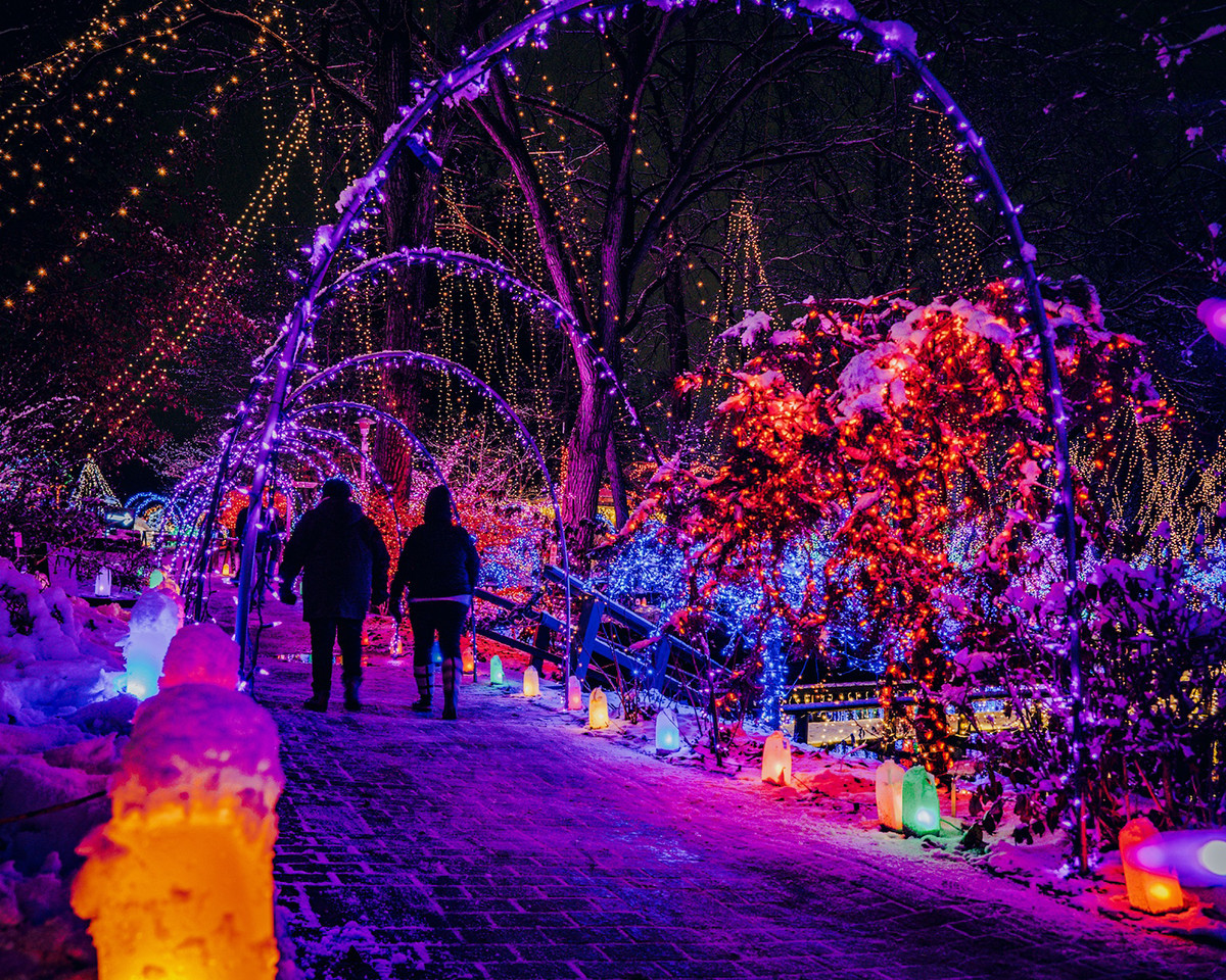 Holiday Lights Display in Janesville