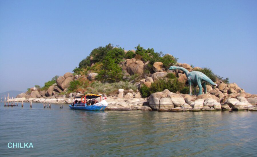 Serene landscape of Honeymoon Island in Chilika Lake