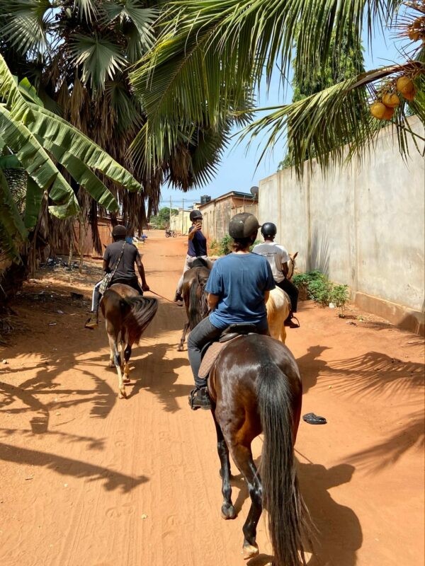 Horses at Club Hippique du Togo, a popular destination for horseback riding and family fun