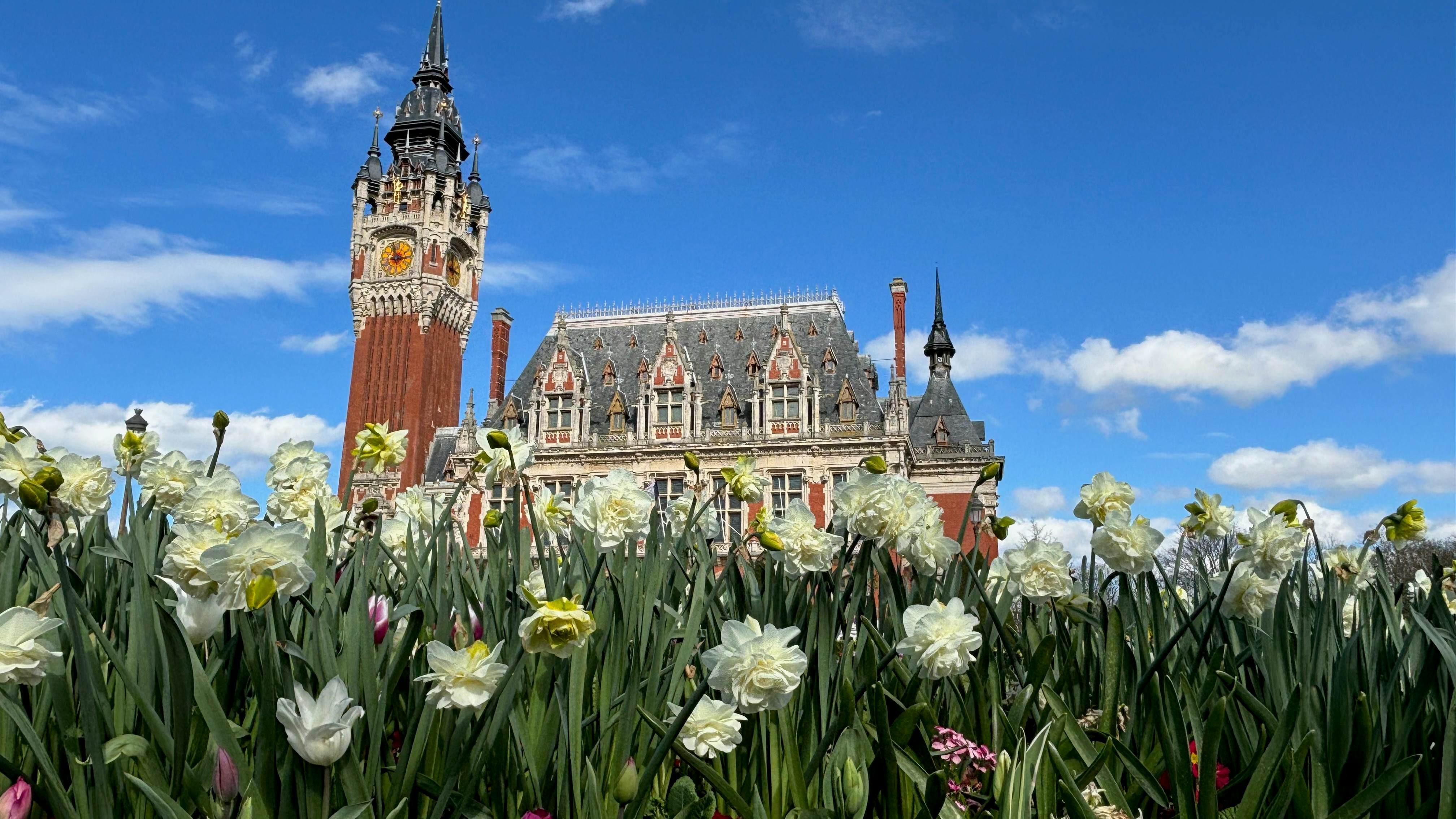 The Hôtel de Ville in Calais, featuring its ornate belfry tower, offers visitors a glimpse into the city's architectural heritage