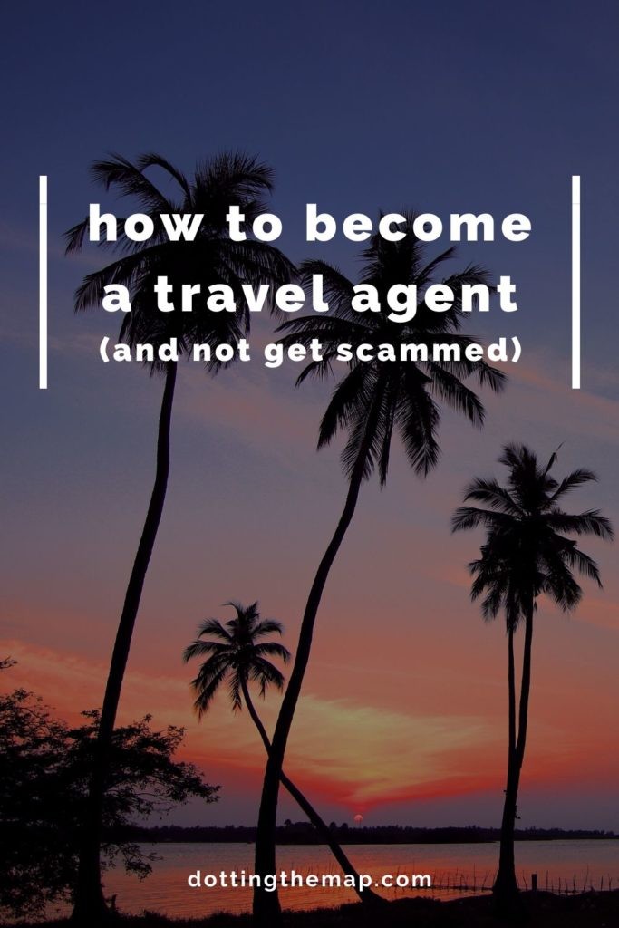 Travel agent career