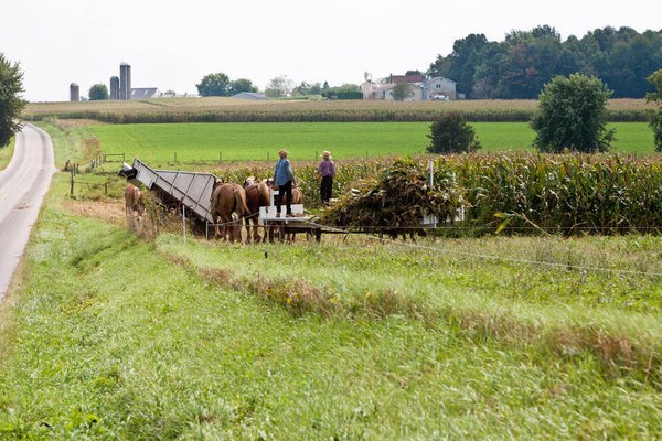 Amish Transportation