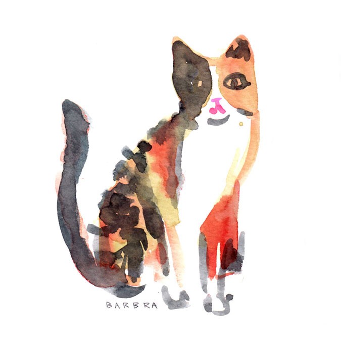 Cat on Plane