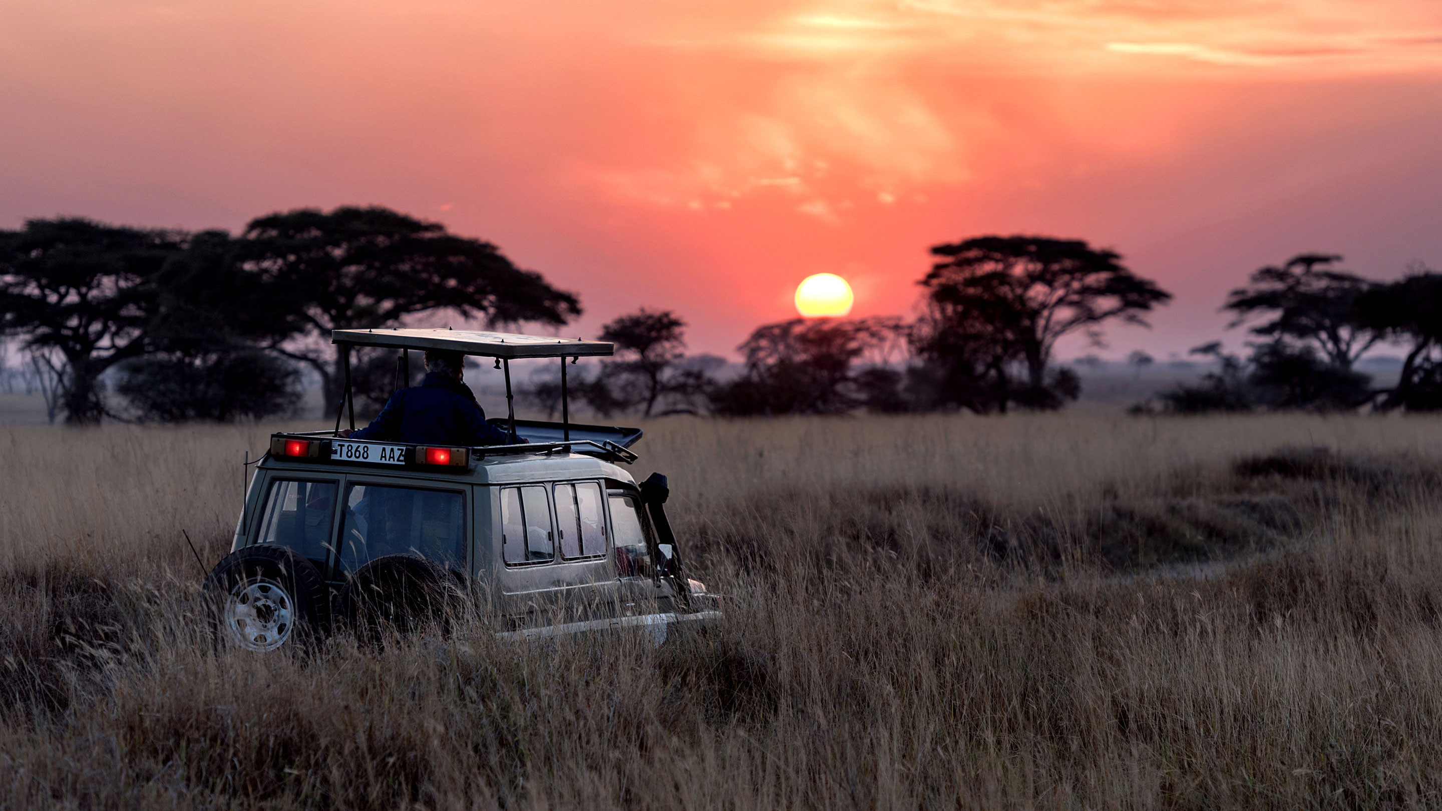 Sunset game drive in the Serengeti