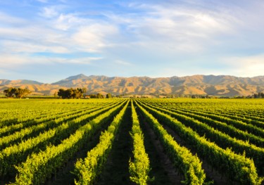 Rural travel destinations fare better as consumer preferences shift