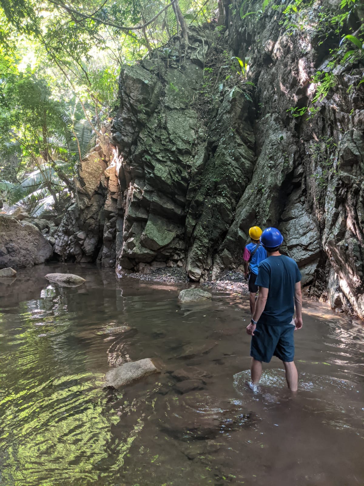 Puerto Vallarta jungle