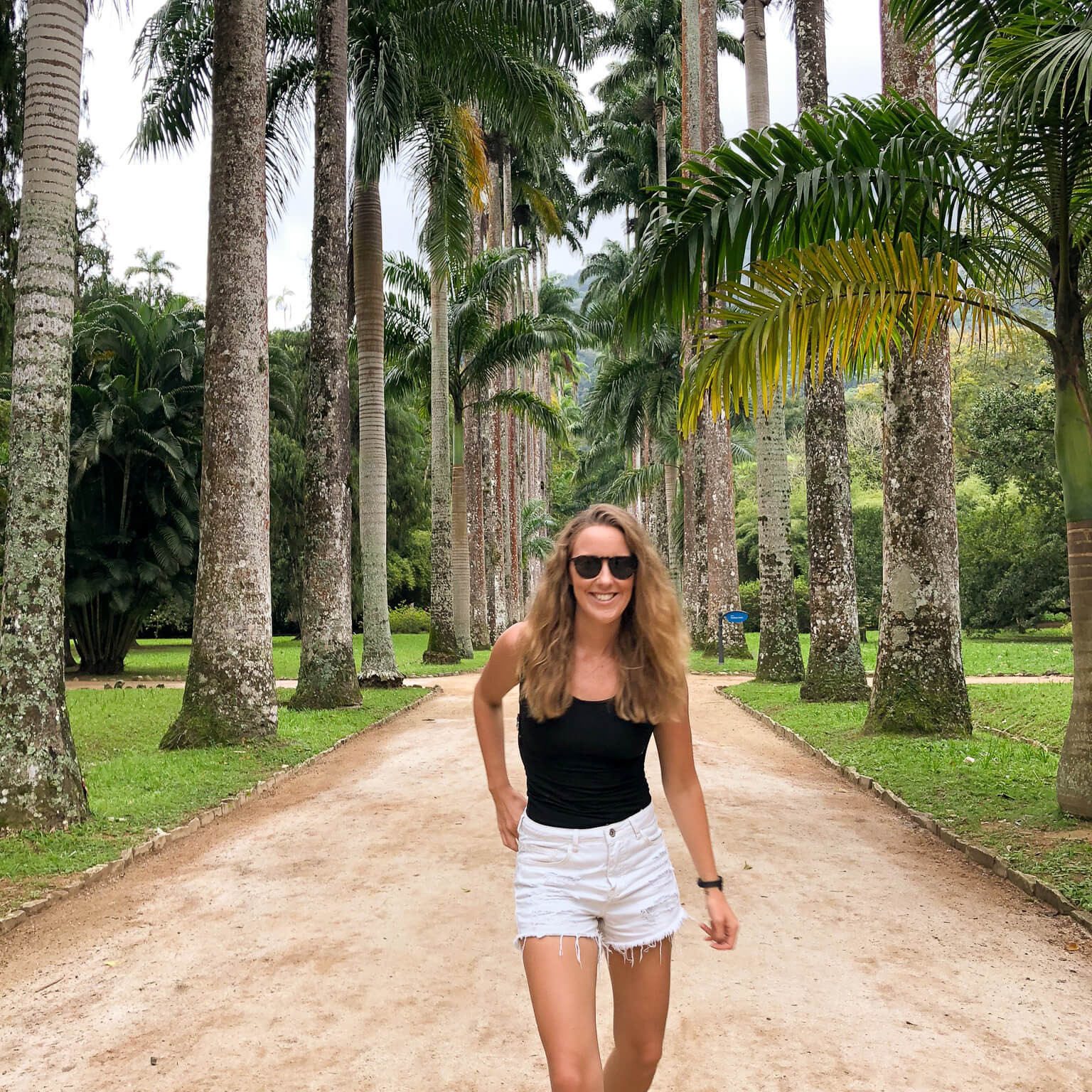 Monkeys in Rio Botanical Garden