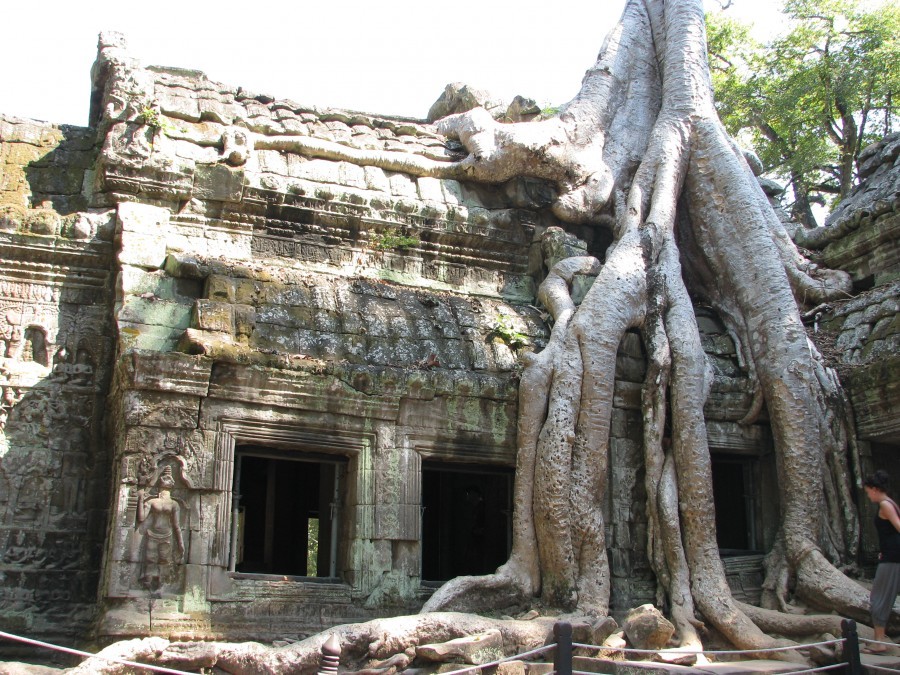 Ta Prohm