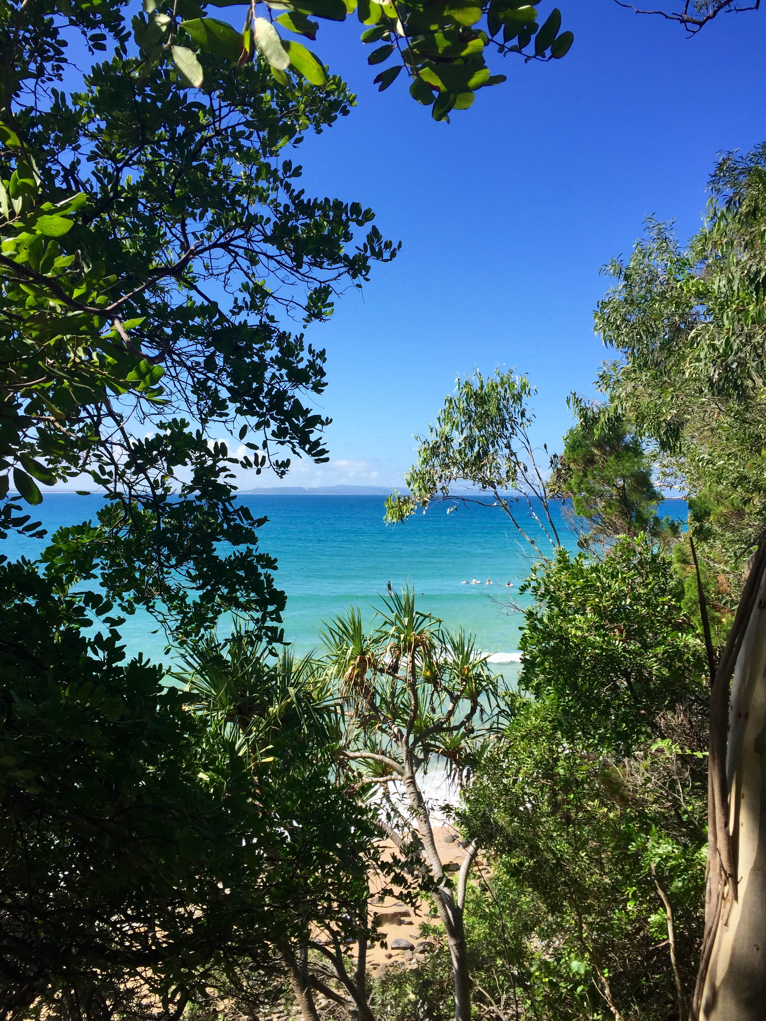 Back to Noosa Cove now, isn’t it gorgeous