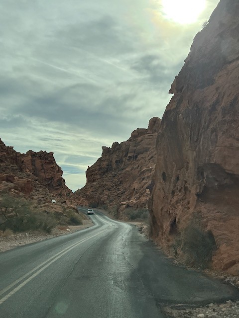 Turo Electric Vehicle on Road