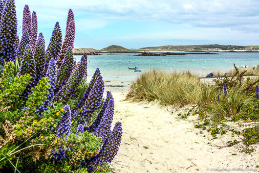 Beach on The Scilly Isles