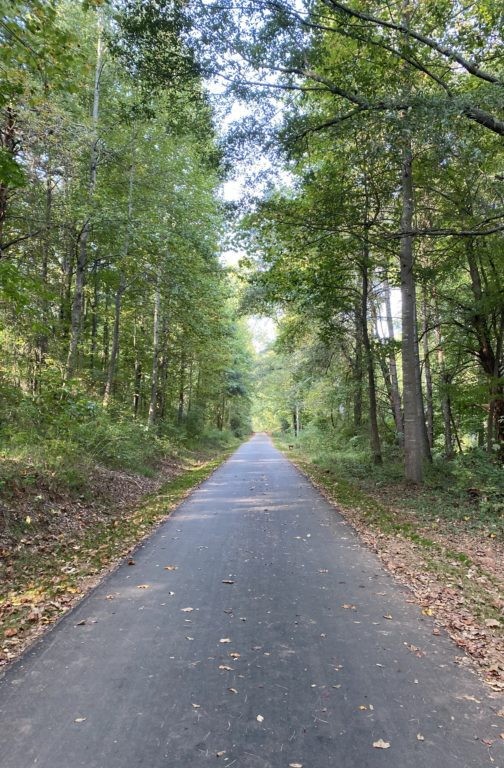 Travelers Rest Swamp Rabbit Trail