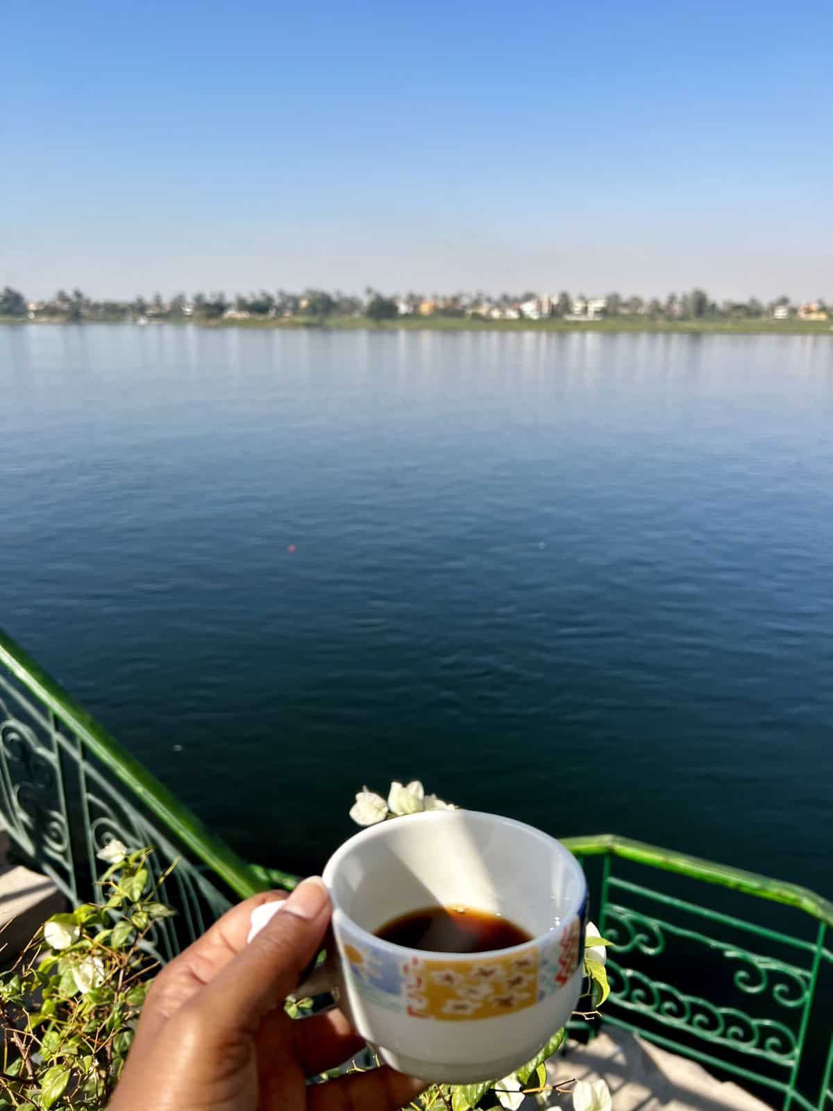 Extensive breakfast buffet at Nubia, Steigenberger Nile Palace Hotel