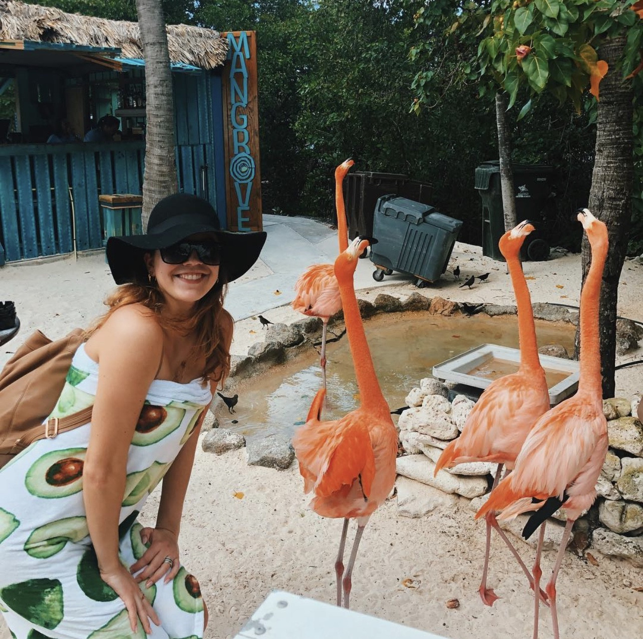a group of pink flamingos standing on a sandy beach with turquoise water