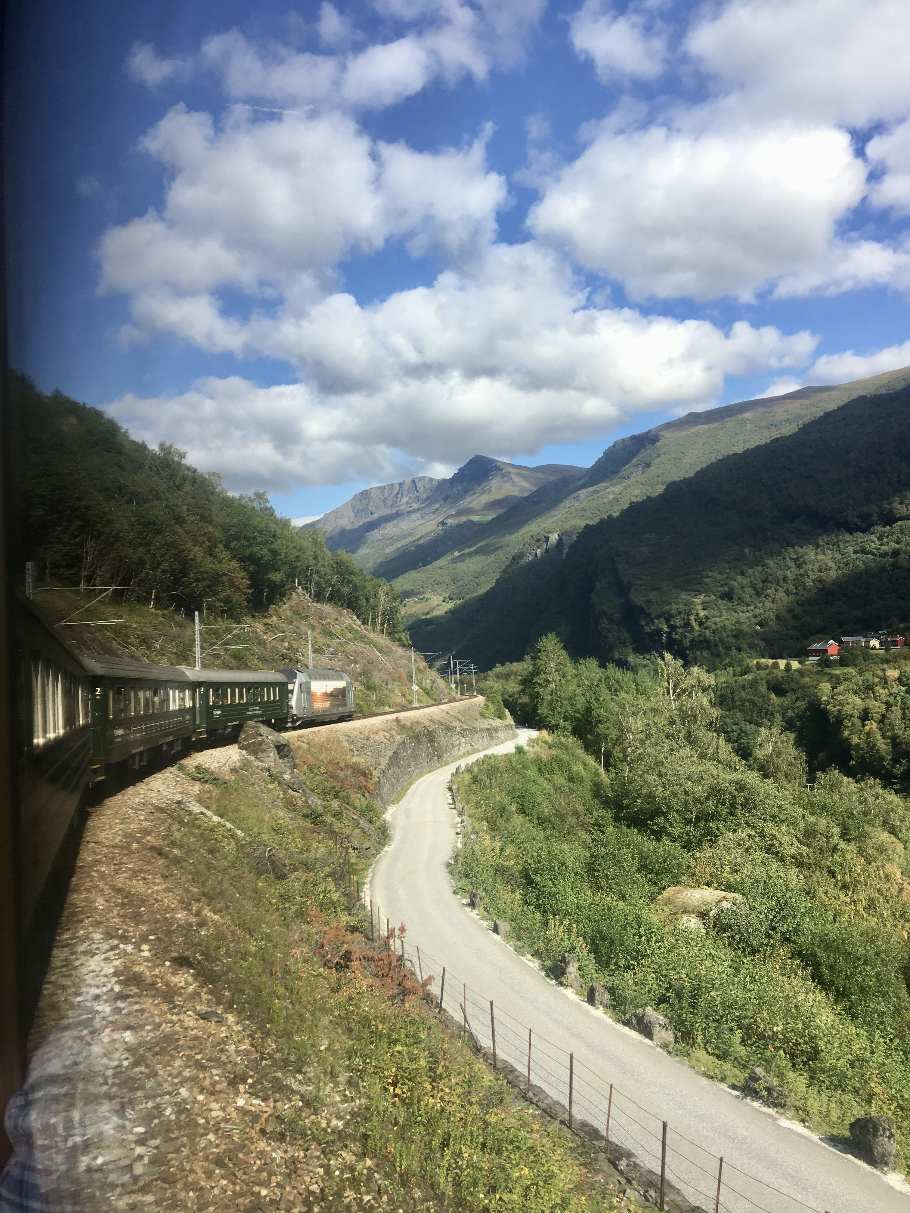 green train going through a valley in norway