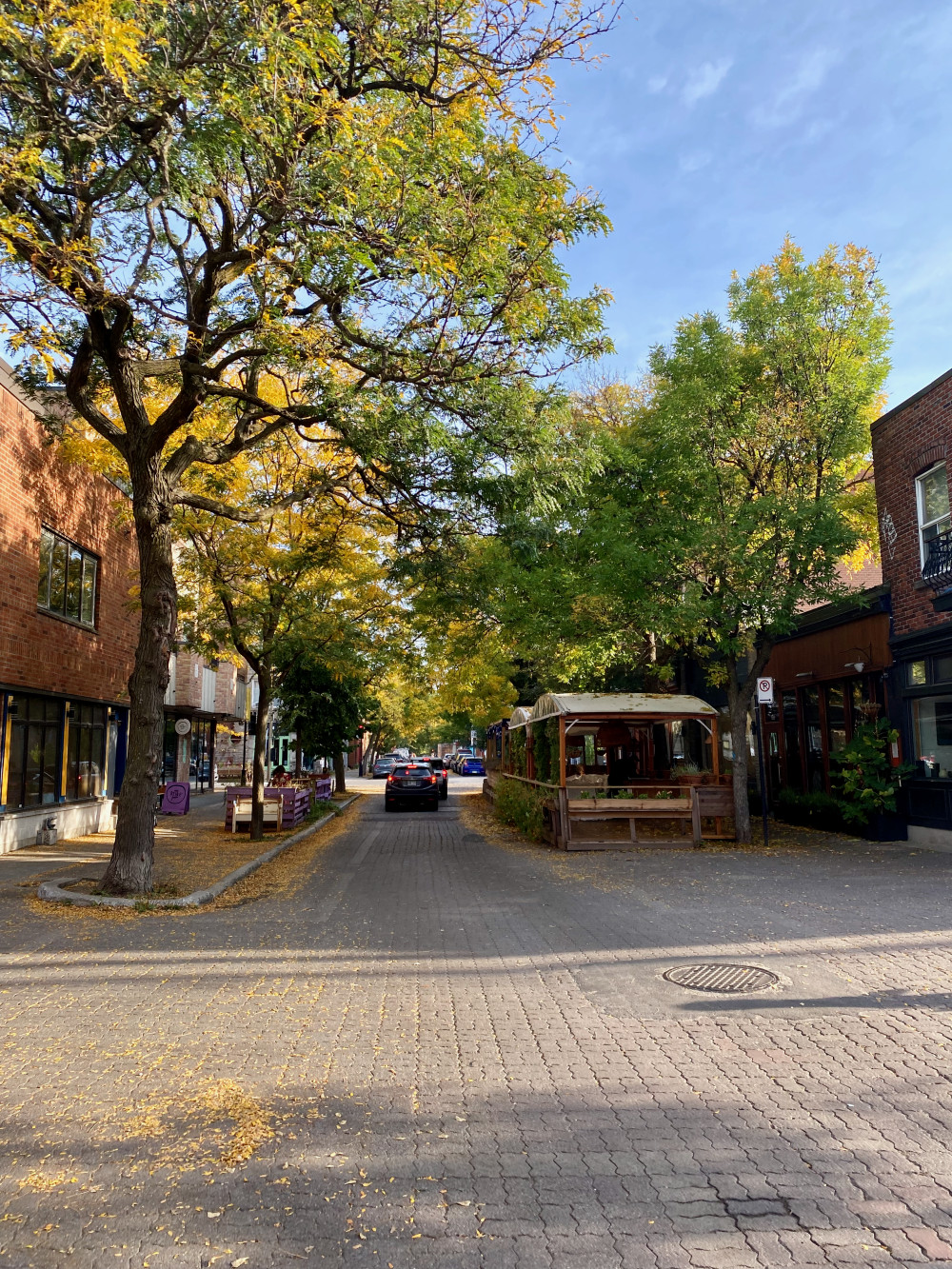 Tree-lined streets near Saint Laurent Boulevard in Montreal