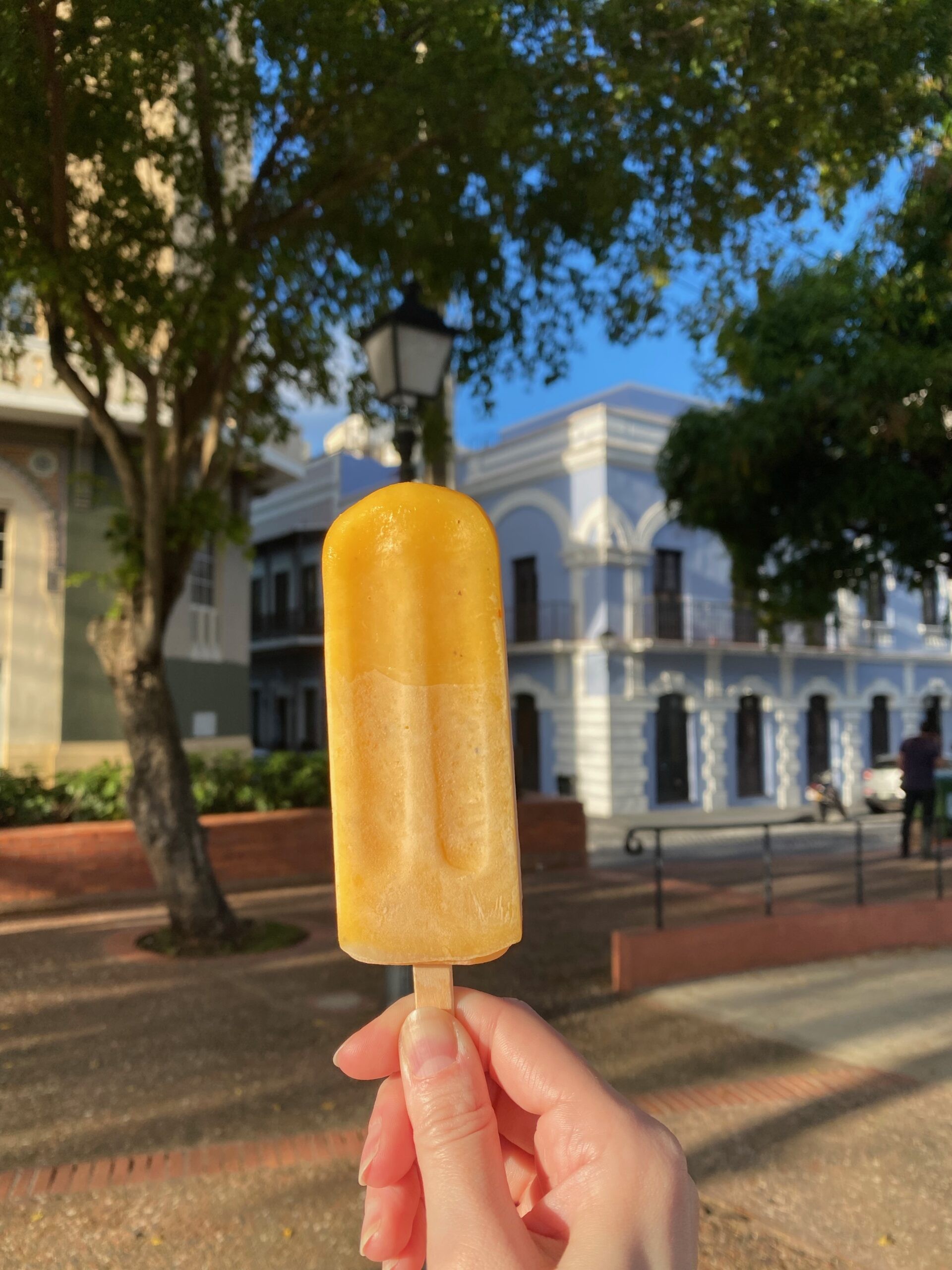Fresh fruit popsicle, appealing for culinary adventures