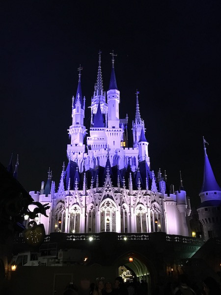 Night photo of the Disney World Castle lit up