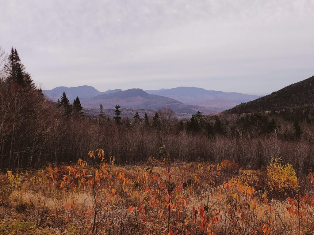 View of CL Graham Wangan Overlook in White Mountain National Forest
