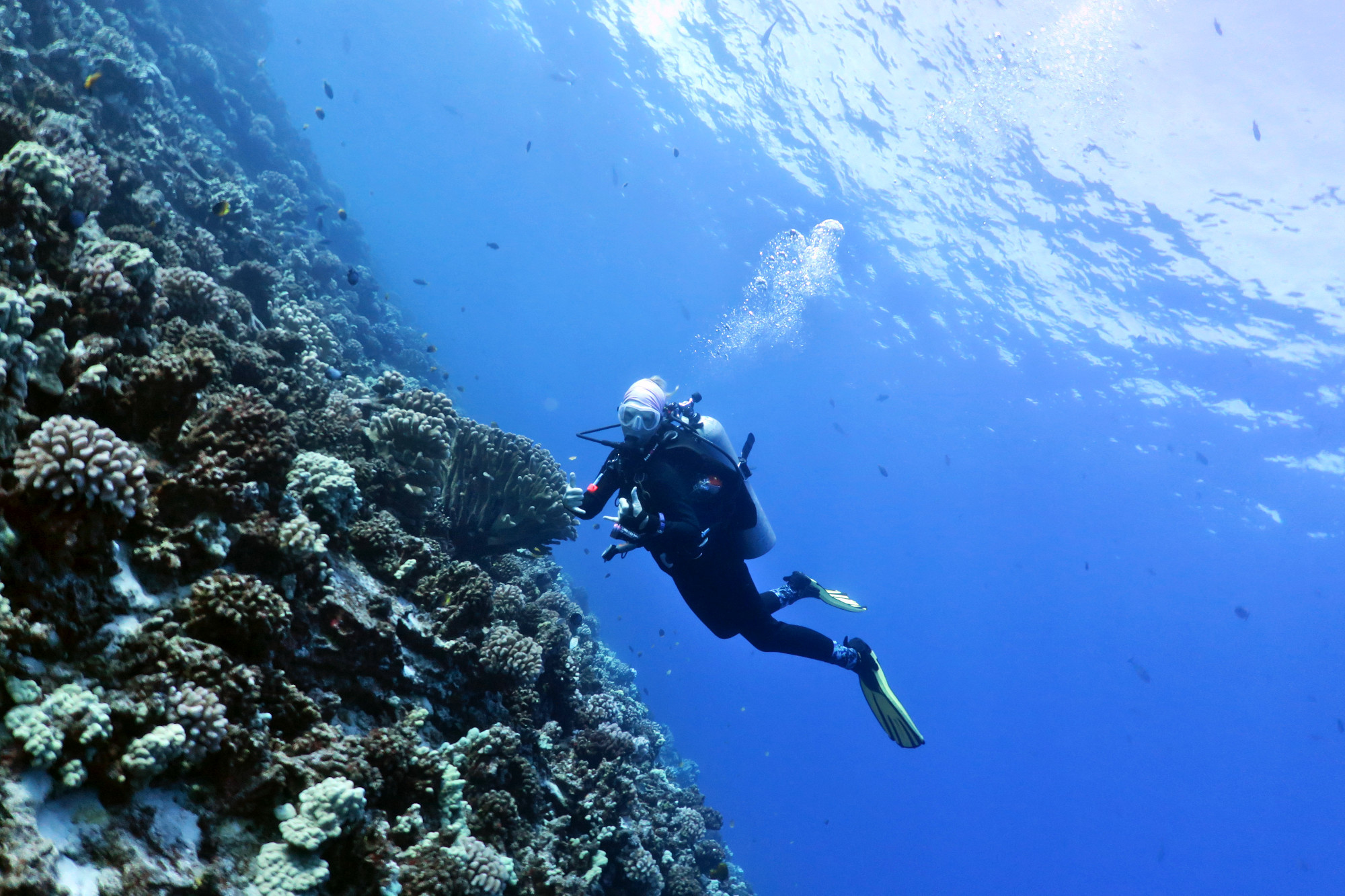 Diving in Maui