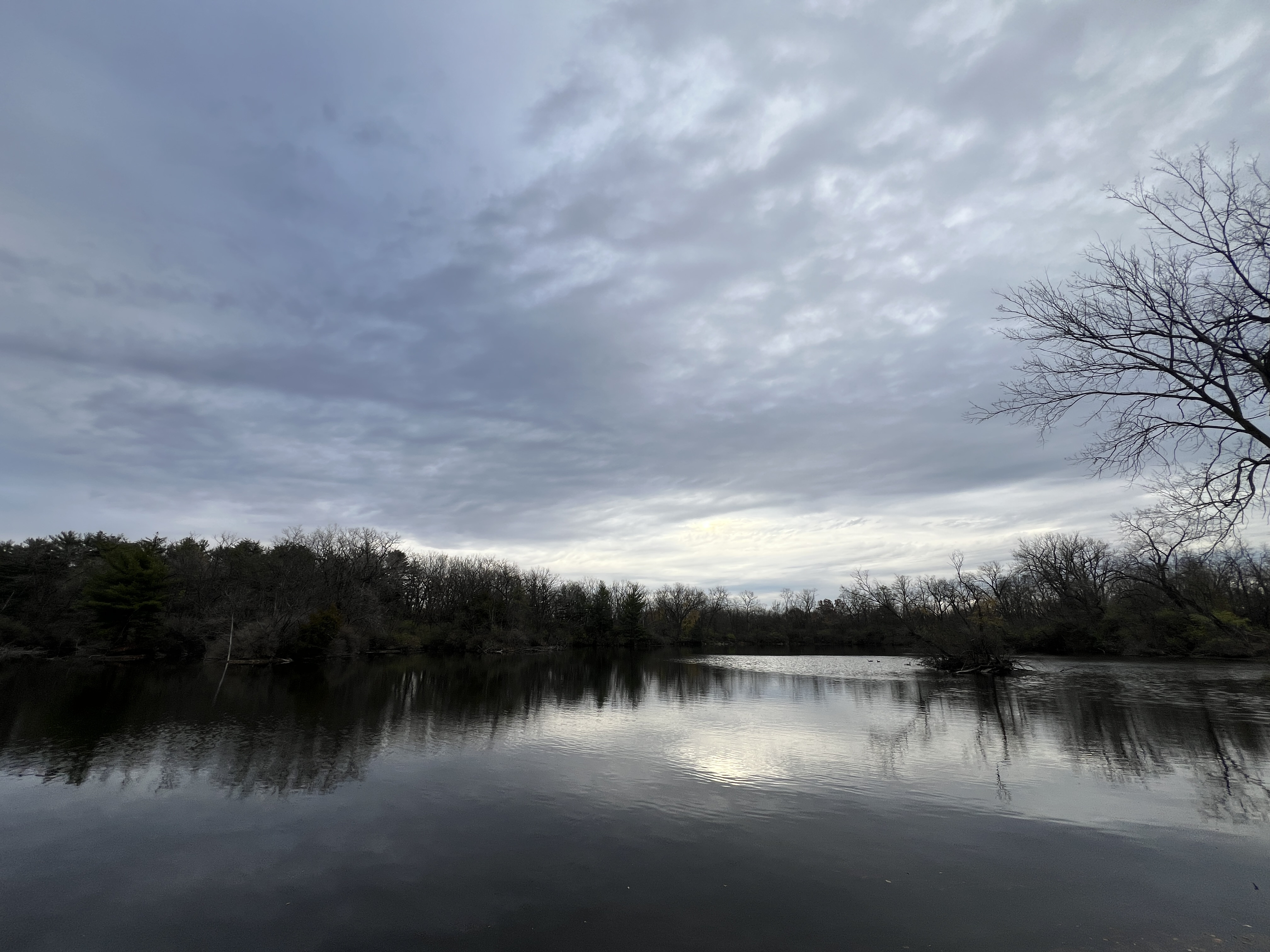 Lakeside View from Dragonfly Lakes Cabin Galesburg