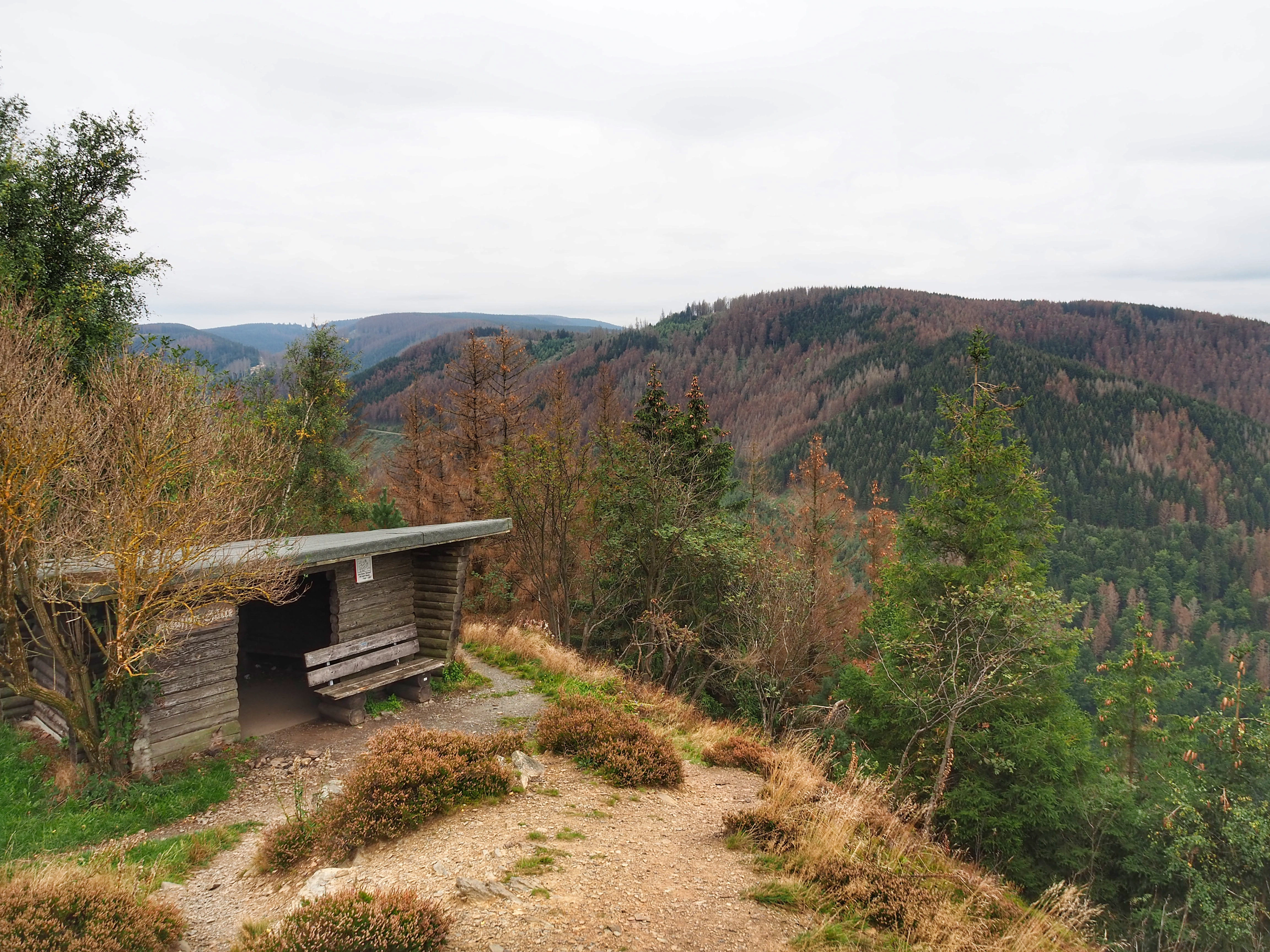 A hiking trail near Goslar, showcasing the natural beauty and diverse landscapes of the Harz Mountains.