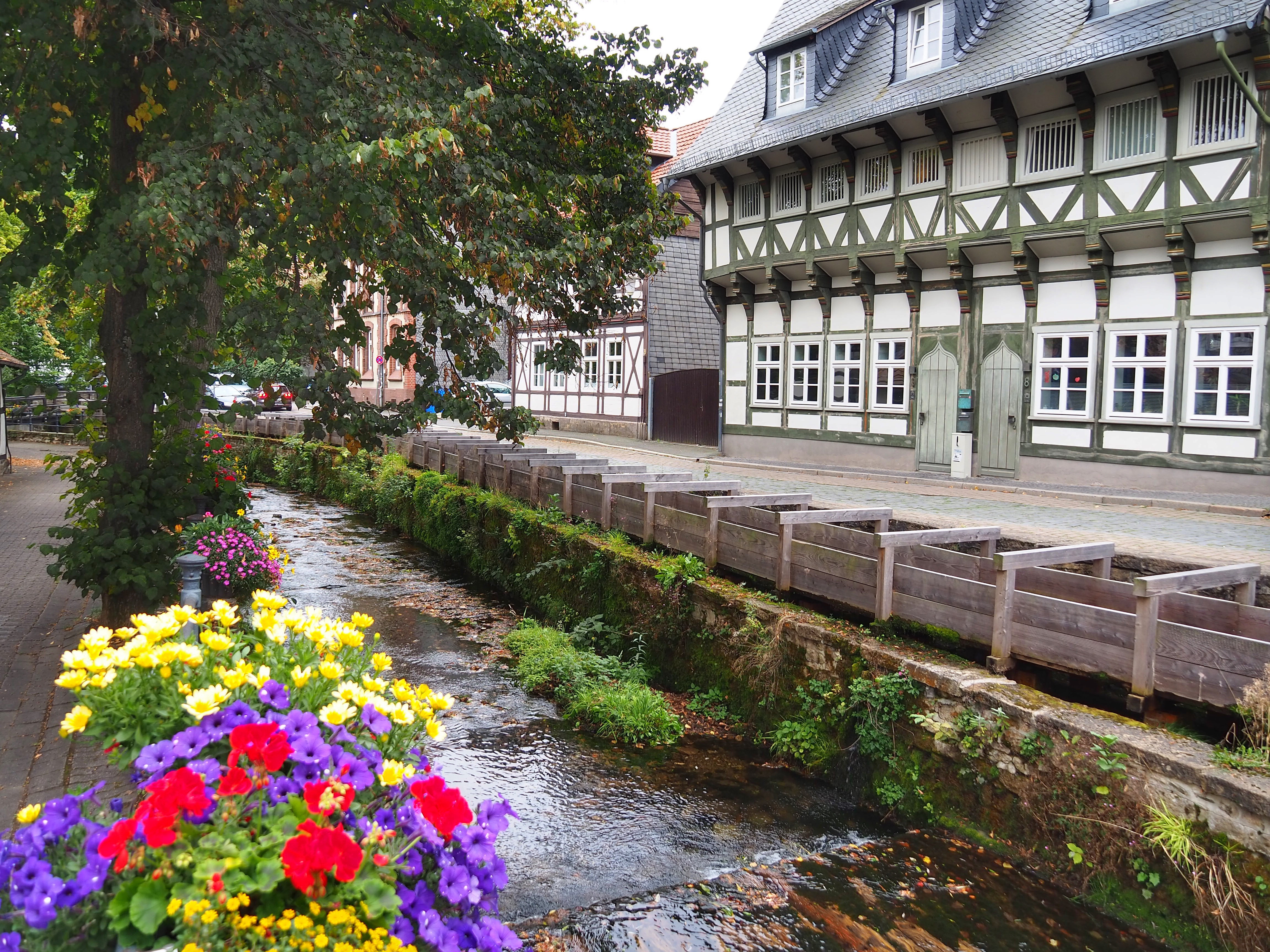 The Abzucht stream in Goslar, lined with flower boxes and charming bridges, offers a picturesque setting for a leisurely stroll.