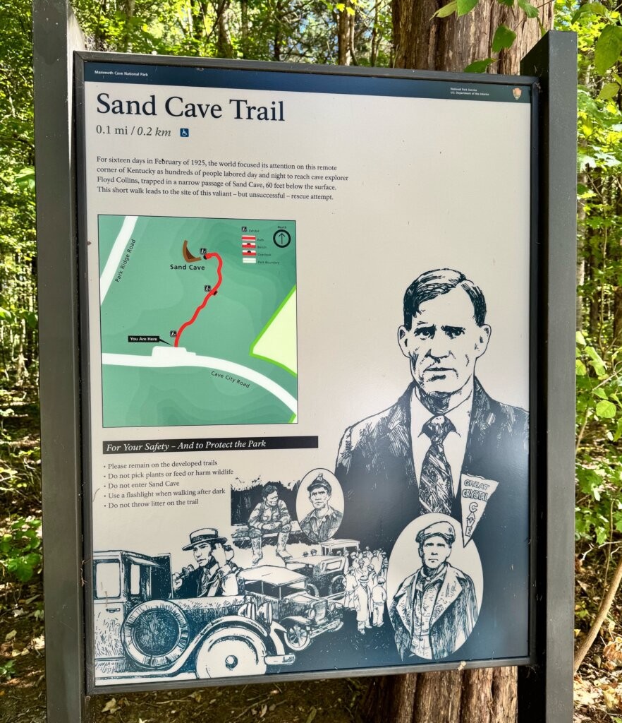 Accessible boardwalk trail at Mammoth Cave National Park