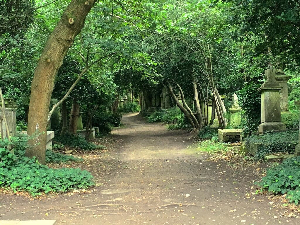 Tree tunnel at Highgate Cemetery