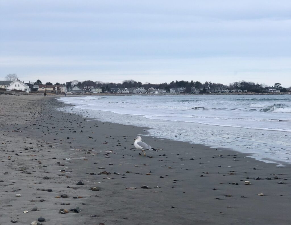 Jenness Beach, New Hampshire