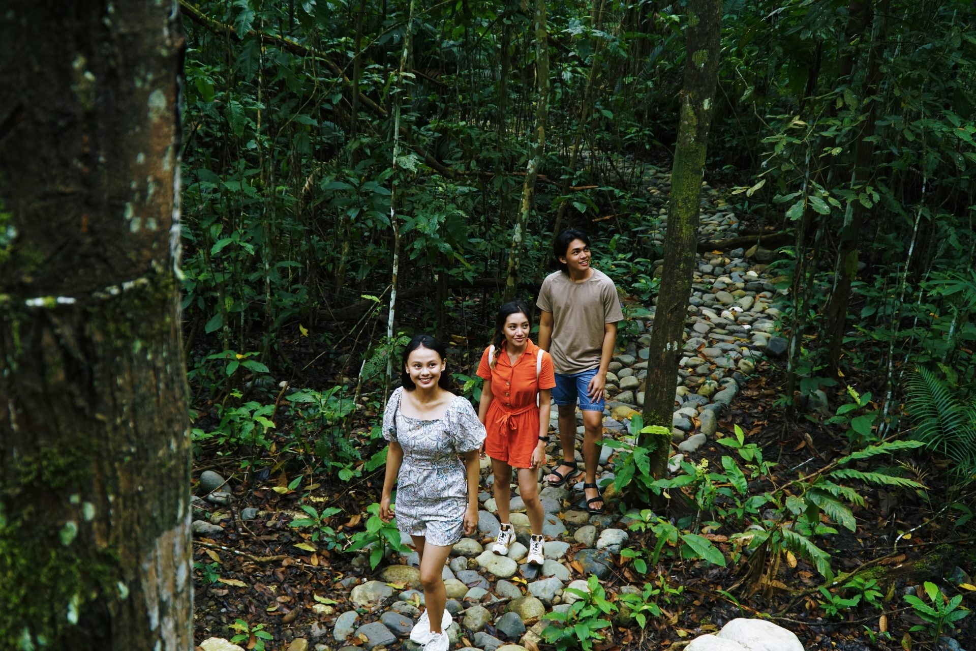 Trekking through the eco-trails at Lower Magat Eco-Tourism Park, allowing visitors to appreciate the diverse plant life.