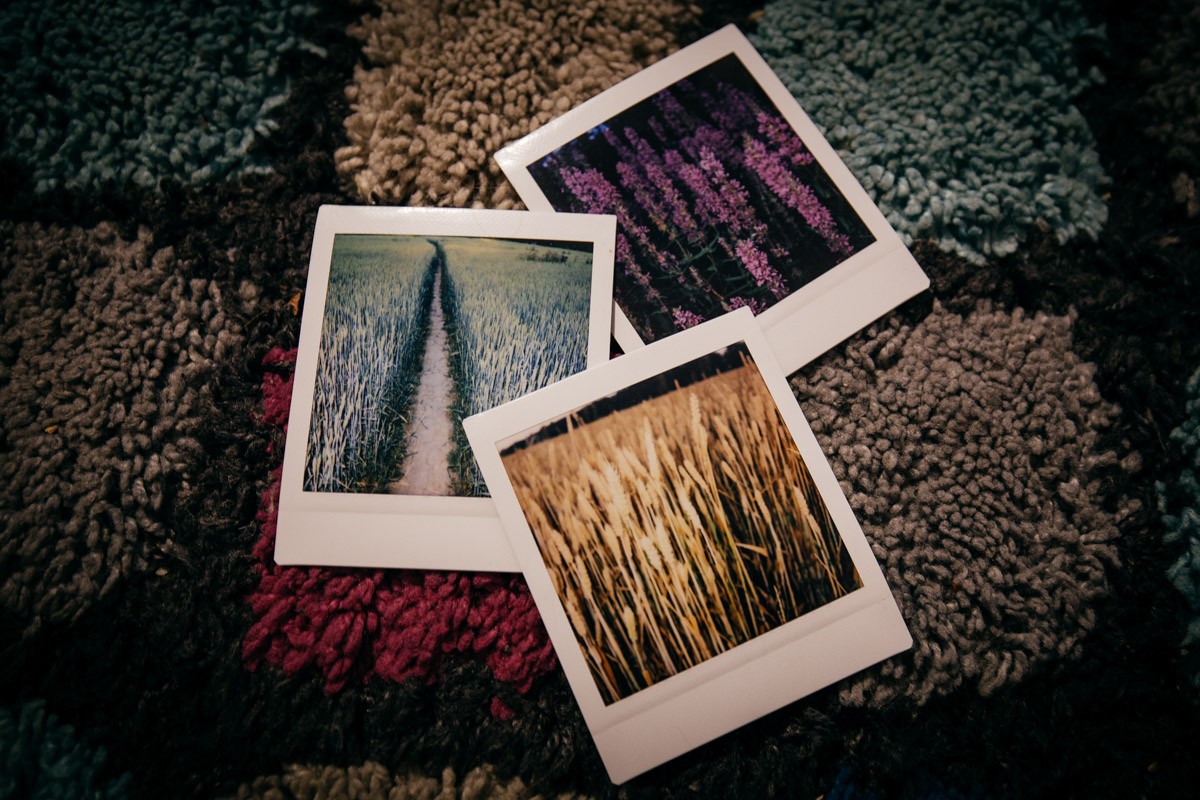 Instant Camera Macro Shot in Finland
