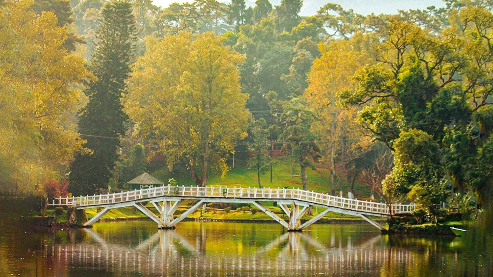 Timeless Charm of Vietnam