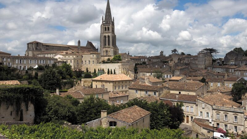Tiled rooftops of Bordeaux surrounded by lush greenery on a cloudy day, showcasing the city's architectural beauty and natural setting