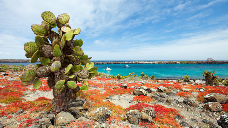 Galapagos Islands Sustainable Tourism