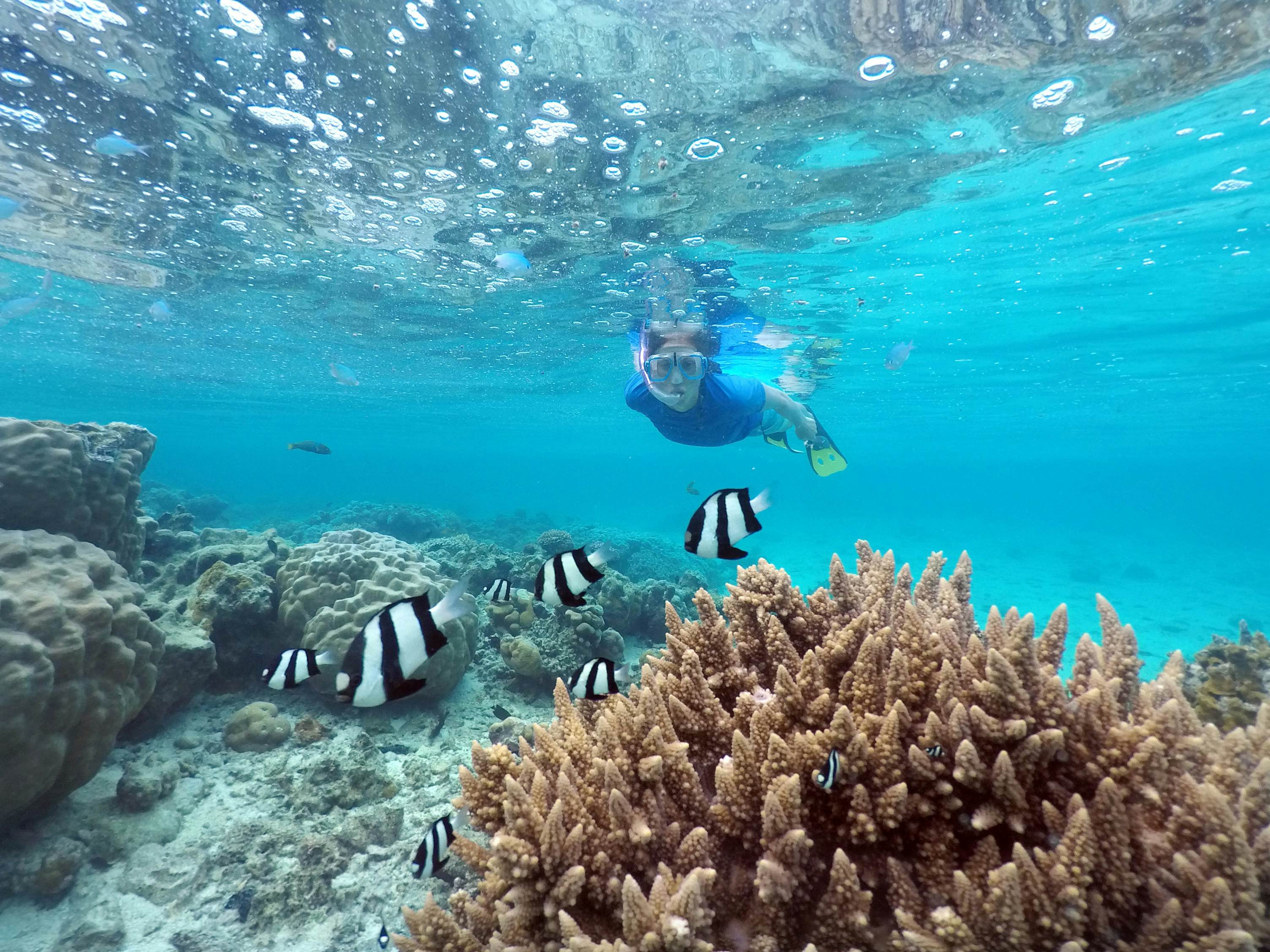 Snorkeling in the Cook Islands