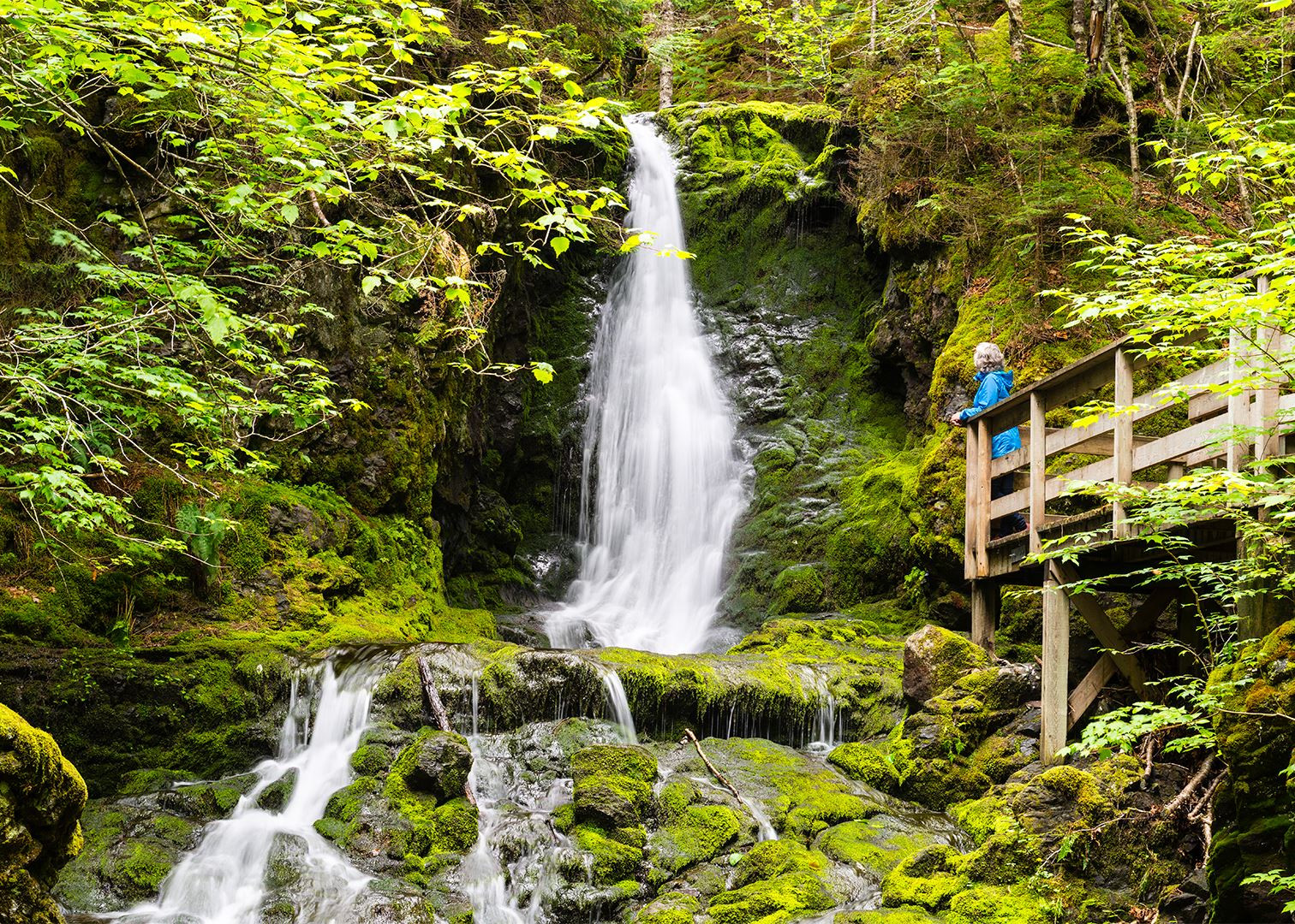 Waterfall, Fundy National Park