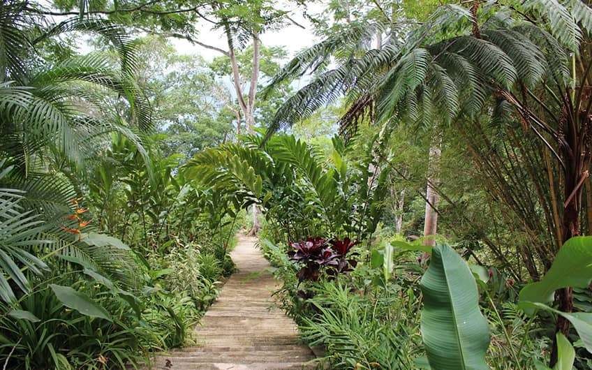 Pura Vida Gardens