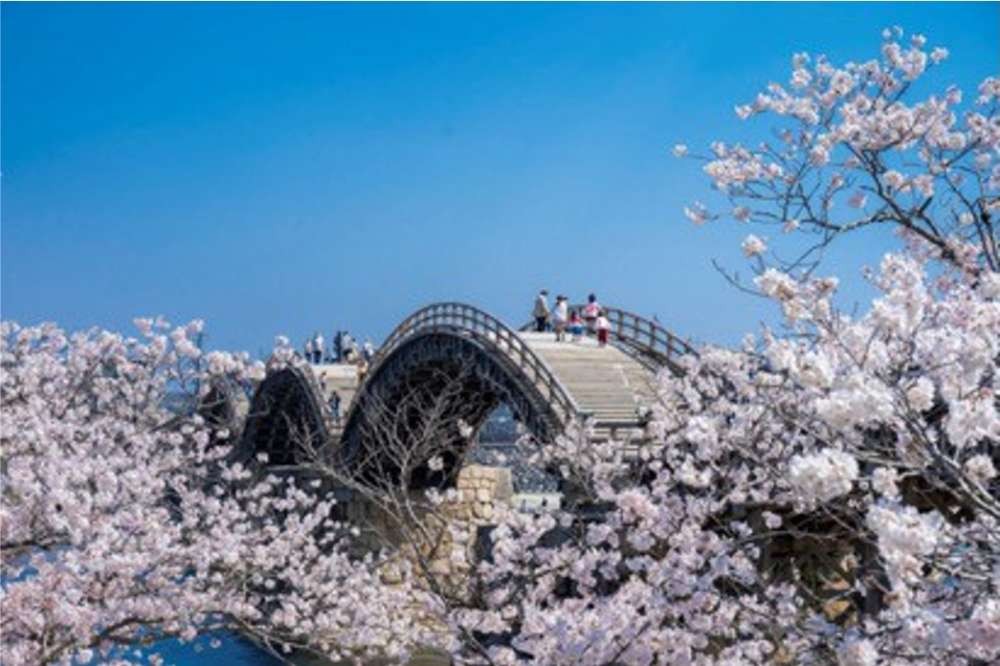 Kintaikyo Bridge, Yamaguchi Prefecture, Japan