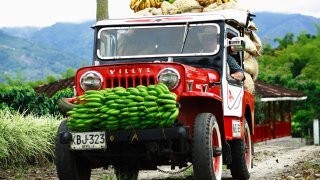 Jeep Willys in Colombia