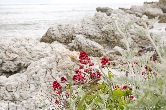 Kaikoura, New Zealand