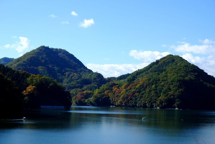 Scenic view of Mount Fuji from Hakone, with lush greenery and a serene lake