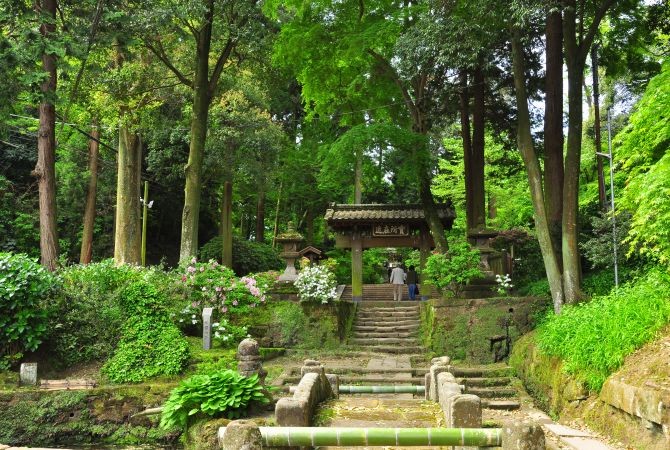 A person stands near a bamboo forest at Hokokuji Temple, creating a calm, natural atmosphere.